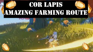 cor lapis Genshin impact  Best Farming route locations Guide [upl. by Ailemak227]