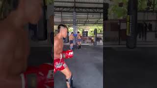 Muay Thai Sparring [upl. by Yedarb]