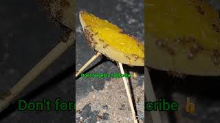 Argentine ants eating peach 🍑 ants insects shortvideo [upl. by Pasadis]