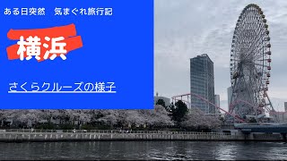 【桜2024 】横浜 桜クルーズの様子。夕刻から夜、大桟橋までぐるっとまわってきたよ。20240406 [upl. by Llertnod46]