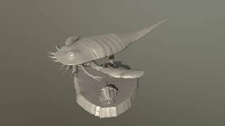 Eurypterus remipes model for 3d printing [upl. by Adnileb]