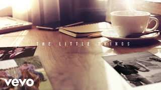 George Strait  The Little Things Official Audio Video [upl. by Attenaej]