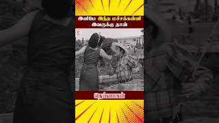 இனிமே இந்த மச்ச கன்னி இவருக்கு தான்  Deiva Magan Tamil Movie Scenes  Sivaji  ytshorts [upl. by Asil]