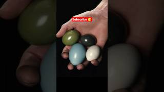 सबसे अजीब अंडे 🤩 Tinamou Eggs 🥚 shorts eggs eggshorts facts factsinhindi [upl. by Immat]