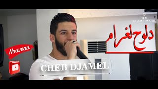 Cheb Djamel  Malouf  Live Mariage  دلوح لغرام [upl. by Ruffi]