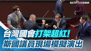 台灣國會打架超紅！斯國議員現場模擬演出│政常發揮 [upl. by Dahij]