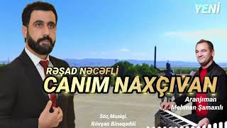 Rəşad Nəcəfli  Canım Naxçıvan [upl. by Asirrac]