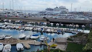 WONDERFUL MORNING VIEW  PORT OF PALMA DE MALLORCA SPAIN🇪🇦 [upl. by Ylrevaw]