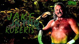 Jake The Snake Roberts 1st WWF Theme Arena Effects [upl. by Nymassej]