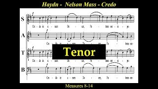 Haydn  Tenor  Nelson Mass  3C  Credo  Et Resurrexit [upl. by Ainslie]