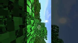 short  minecraft  edit 4k [upl. by Akahs]