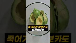 버리지 마세요 지금이 타이밍입니다 쇼츠 food 다이어트 당뇨 shots [upl. by Anera515]