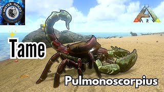 Pulmonoscorpius Taming Ark mobile  tame giant Scorpion Ark Survival mobile [upl. by Ximenes]