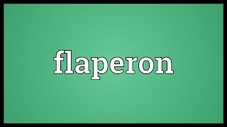 Flaperon Meaning [upl. by Harold]