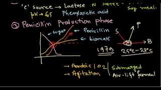 Penicillin production  industrial production [upl. by Kciredes661]