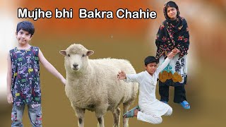 Mujhe bhi Bakra Chahie  Garib ka Bakra  MoonVines [upl. by Lanae667]