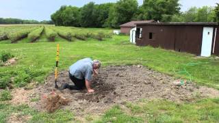 Planting Raspberries  Indiana Berry [upl. by Neelhtak]