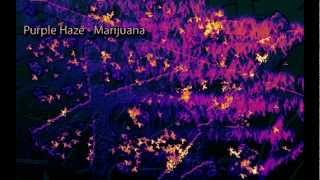 Binaural Beats  Marijuana High THC Beat Purple Haze Digital Drug [upl. by Norby70]