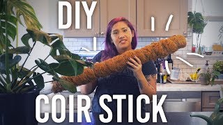 How to Make a Coir Stick for Vining Plants  DIY [upl. by Urd484]