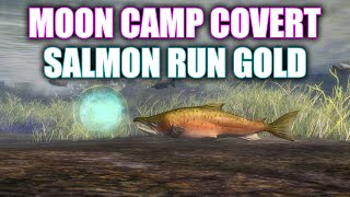 GW2  Moon Camp Covert Salmon Run Gold  Lowland Shore Adventure  Guild Wars 2 Janthir Wilds [upl. by Danika]