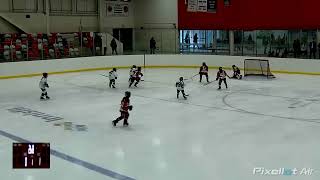 November 15 2024  North Halton Twisters vs Oshawa Lady Generals [upl. by Cerelly]