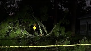 More than 90 of Hamilton County without power after Hurricane Idalia downs trees power lines [upl. by Rohpotsirhc610]