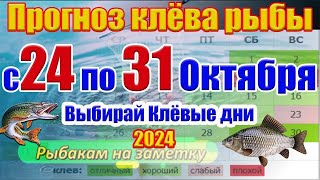 Прогноз клева рыбы на эту неделю с 24 по 31 Октября Прогноз клева Лунный Календарь рыбака [upl. by Ecarret411]