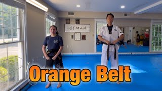 Orange belt curriculum [upl. by Oicnevuj]