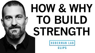 The quot3 by 5quot Protocol How amp Why to Build Your Strength [upl. by Sredna813]