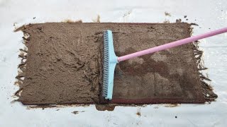 Cleaning the red carpet of mud and dirt  Satisfying rug washing and asmr [upl. by Tnecniv378]