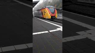 HLB RB 41 nach Frankfurt M Hbf in Schwalmstadt shorts trainspotting [upl. by Ekrub626]