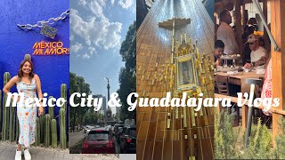 Mexico City Vlog  Guadalajara Vlog Polanco [upl. by Anned]