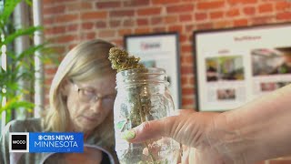 Minnesotans learning how to grow their own weed at home [upl. by Jessamine]