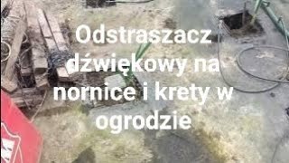 Odstraszacz dźwiękowy nornic kretów i szczurów [upl. by Mouldon]