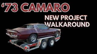 1973 Chevy Camaro Roadkillstyle Walkaround [upl. by Ahtelat35]