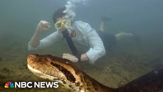 Scientists discover the worlds largest snake species [upl. by Meeharb246]