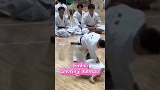 Embu Shorinji KEMPO Real Fight 005 [upl. by Carlisle683]