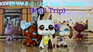 ❀ LPS Behind the Scenes Mall Trip [upl. by Donalt595]