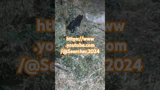 httpswwwyoutubecomSearcher2024 travel followMove to a new channel [upl. by Sheffie]