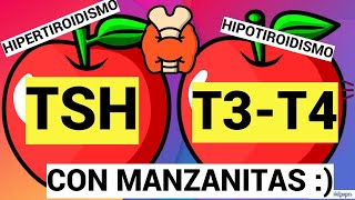 TSH T3 Y T4 CON MANZANITAS  HORMONAS TIROIDEAS [upl. by Arbmat]