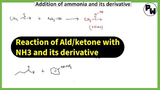 Enamine and imine from ketone  reaction of aldehyde and ketone revision [upl. by Ipoillak]