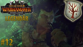 Die Ewige Eiche💎 Waldelfen Drycha 12 💎 Lets Play Total War Warhammer 3 [upl. by Ahsyt]