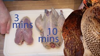 How to Quickly Pluck and Dress Pheasant [upl. by Rehportsirhc]