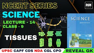 Tissues  Lecture 14  NCERT Science Biology Class 9 Chapter 6 [upl. by Santini]