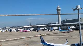 （青空に映える！）中部国際空港に離発着する飛行機たち！ [upl. by Yankee]