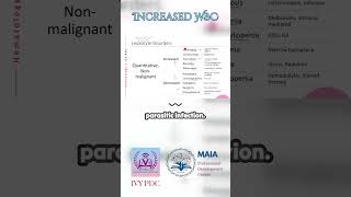 Leukocytosis Increased WBC [upl. by Christy]