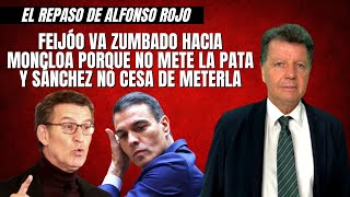 Alfonso Rojo “Feijóo va zumbado hacia Moncloa porque no mete la pata y Sánchez no cesa de meterla” [upl. by Innad]