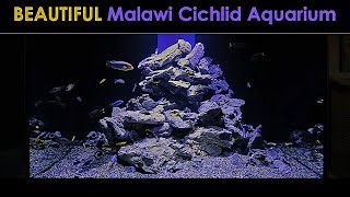 AWESOME Aquarium for Malawi Cichlids [upl. by Ardnoek963]