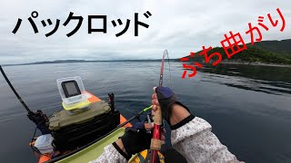 パックロッドに初の大物！？【サップでＳＬＪ】 [upl. by Nairot]