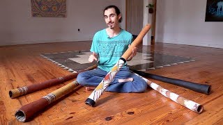 Comparing 5 Eucalyptus Didgeridoos all traditional Aboriginal Australian instruments [upl. by Ahsya]